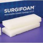 Absorbable Gelatin Sponge