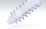 Absorbable Interference Screw
