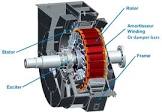 Ac Synchronous Motor