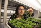 Agricultural Biochemical