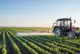 Agricultural Pesticides
