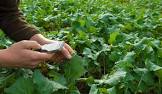 Agricultural Testing Service