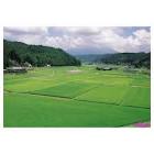 Agriculture Land Dealing Services