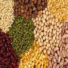 Agro Intermediates