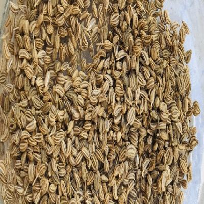 Ajwain