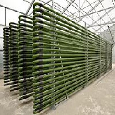 Algae Photobioreactor