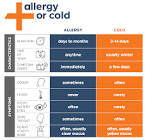 Allergy Treatment Service