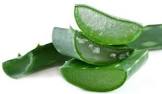 Aloe Vera Pulp