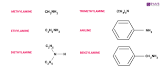 Amine Compounds