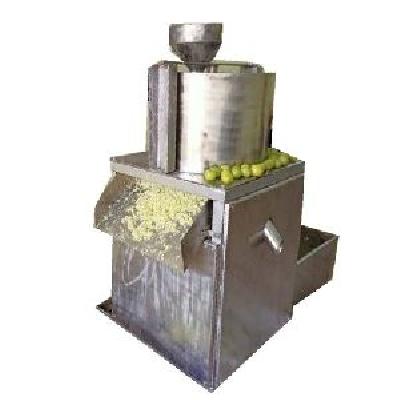 Amla Shredding Machine