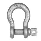 Anchor Shackle