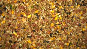 Bird Food, Poultry & Animal Food