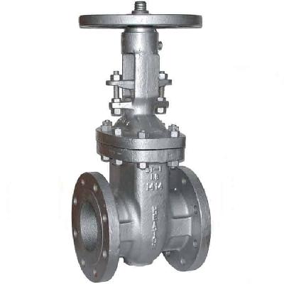 ANSI Valve