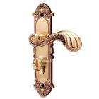 Antique Door Handle