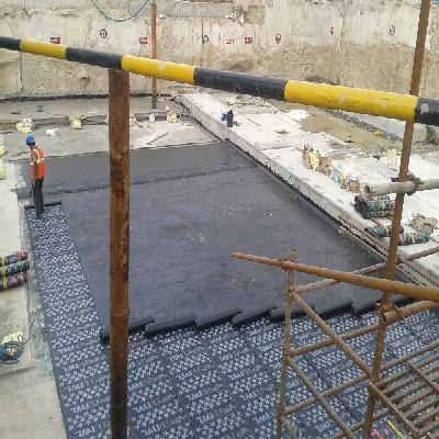 APP Membrane 