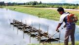 Aquaculture Chemicals