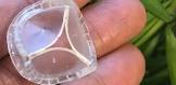 Artificial Heart Valve