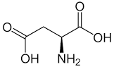 Aspartic Acid