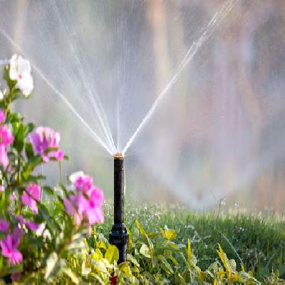 Automatic Irrigation Service