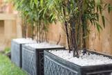 Bamboo Planter