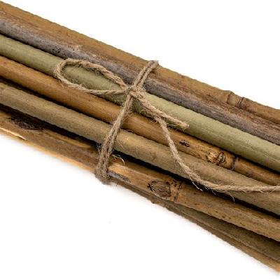 Bamboo and bamboo Products