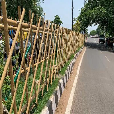Bamboo Fencing