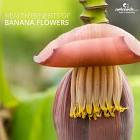 Banana Flower