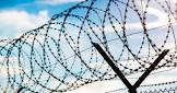 Barbed Wires