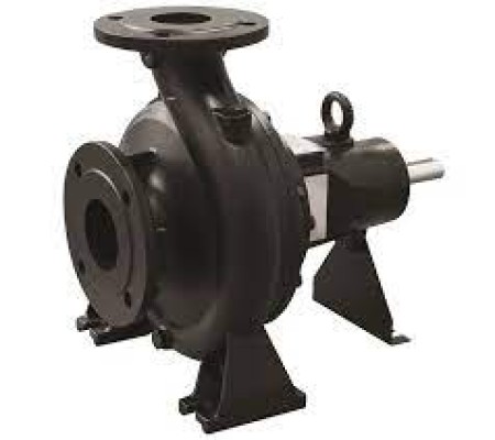 Bare Shaft Pump