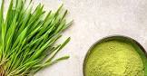 Barley Grass