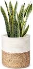 Basket Planter