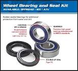 Bearing Seal