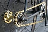Bicycle Freewheels