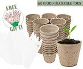 Biodegradable Pot