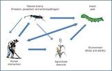 Biological Pest Control