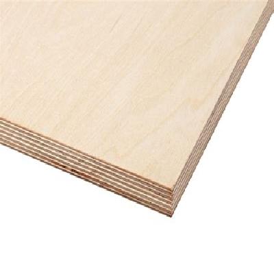 Birch Plywood
