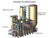 Bleaching Plant