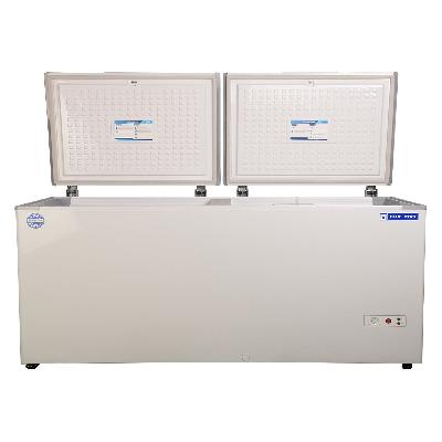 Blue Star Deep Freezer