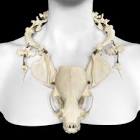 Bone Necklaces