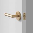 Brass Door Handle
