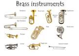 Brass Instrument