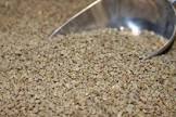 Broiler Pre Starter Crumb
