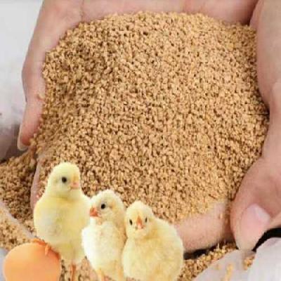 Broiler Feed