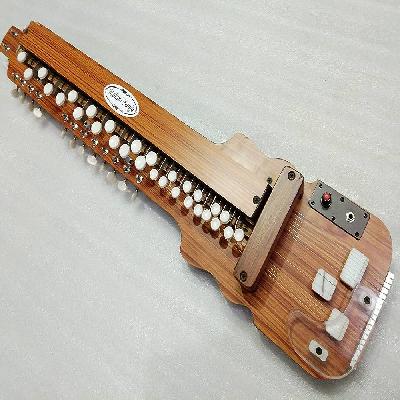 Bulbul Tarang