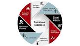 Business Excellence Consultant