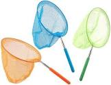 Butterfly Nets