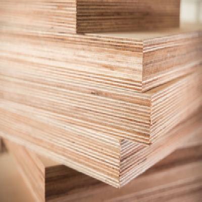 BWP Plywood