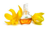 Cananga Oil