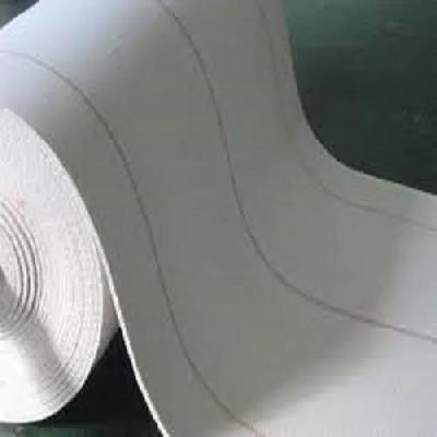 Canvas Conveyor Belt