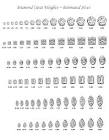 Carat Weights